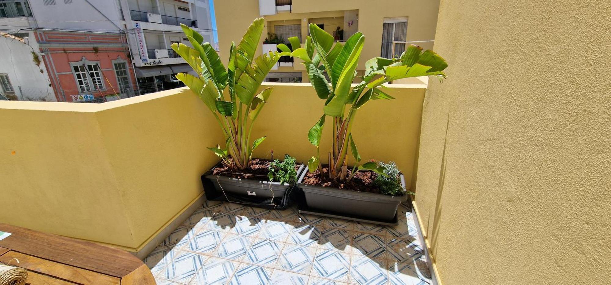 דירות פארו Casa Da Acoteia מראה חיצוני תמונה